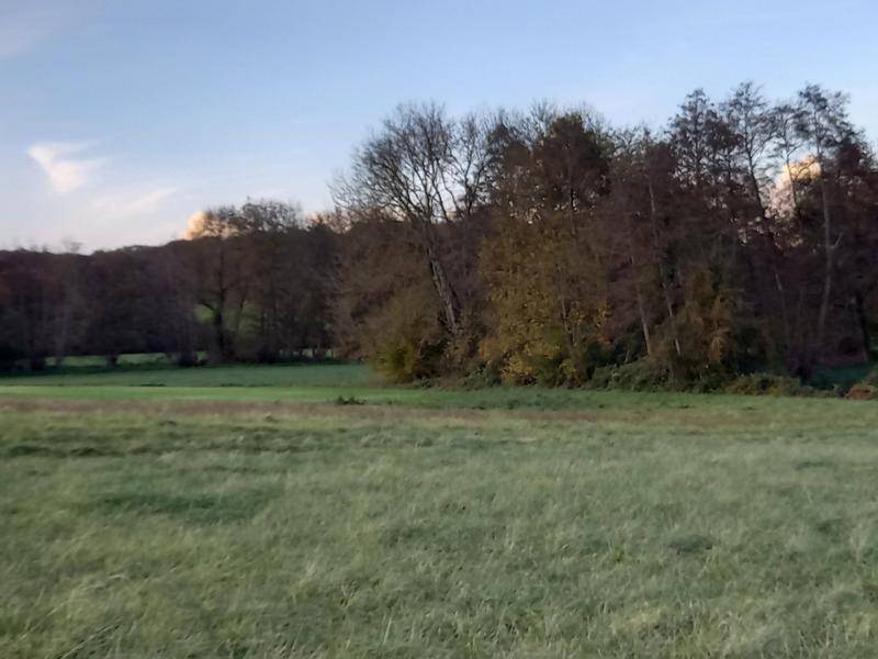 Terrain seul à Courtemaux en Loiret (45) de 14150 m² à vendre au prix de 47450€ - 2