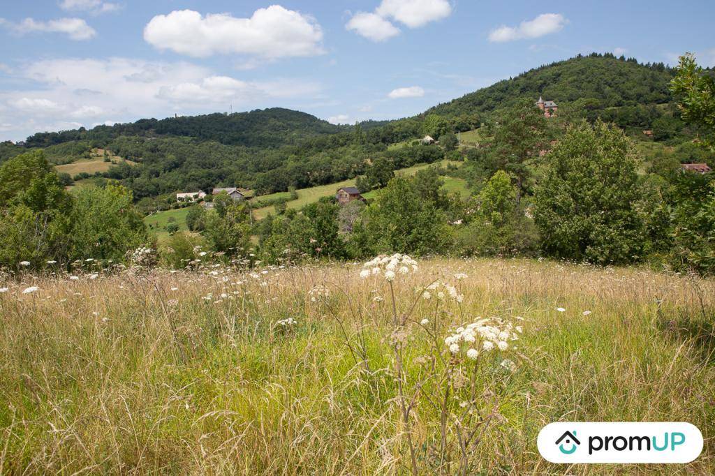 Terrain seul à Meyssac en Corrèze (19) de 9179 m² à vendre au prix de 163000€ - 2