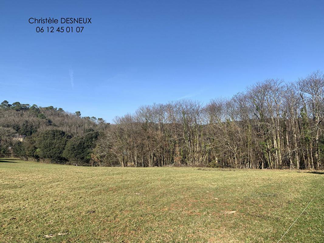 Terrain seul à Calviac-en-Périgord en Dordogne (24) de 5722 m² à vendre au prix de 33790€ - 1