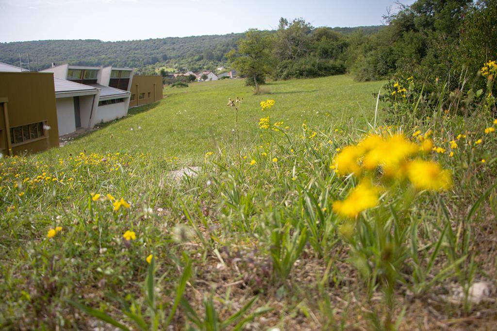 Terrain seul à Amagney en Doubs (25) de 636 m² à vendre au prix de 83500€