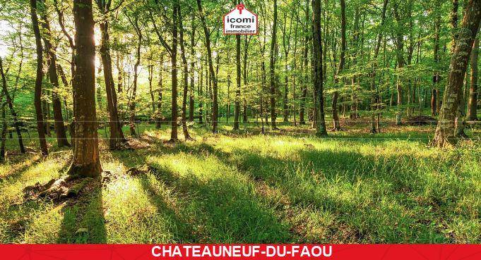 Terrain seul à Châteauneuf-du-Faou en Finistère (29) de 3000 m² à vendre au prix de 15000€ - 3