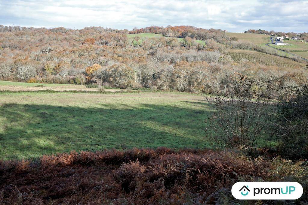 Terrain seul à Casteide-Cami en Pyrénées-Atlantiques (64) de 1633 m² à vendre au prix de 35000€ - 2