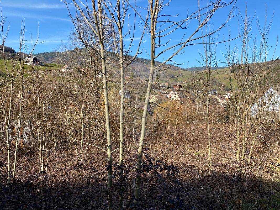 Terrain seul à Lapoutroie en Haut-Rhin (68) de 1258 m² à vendre au prix de 69300€ - 4