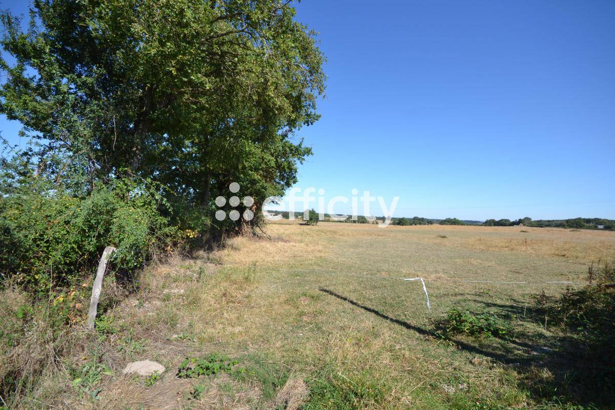 Terrain seul à Charrin en Nièvre (58) de 3387 m² à vendre au prix de 22000€ - 2