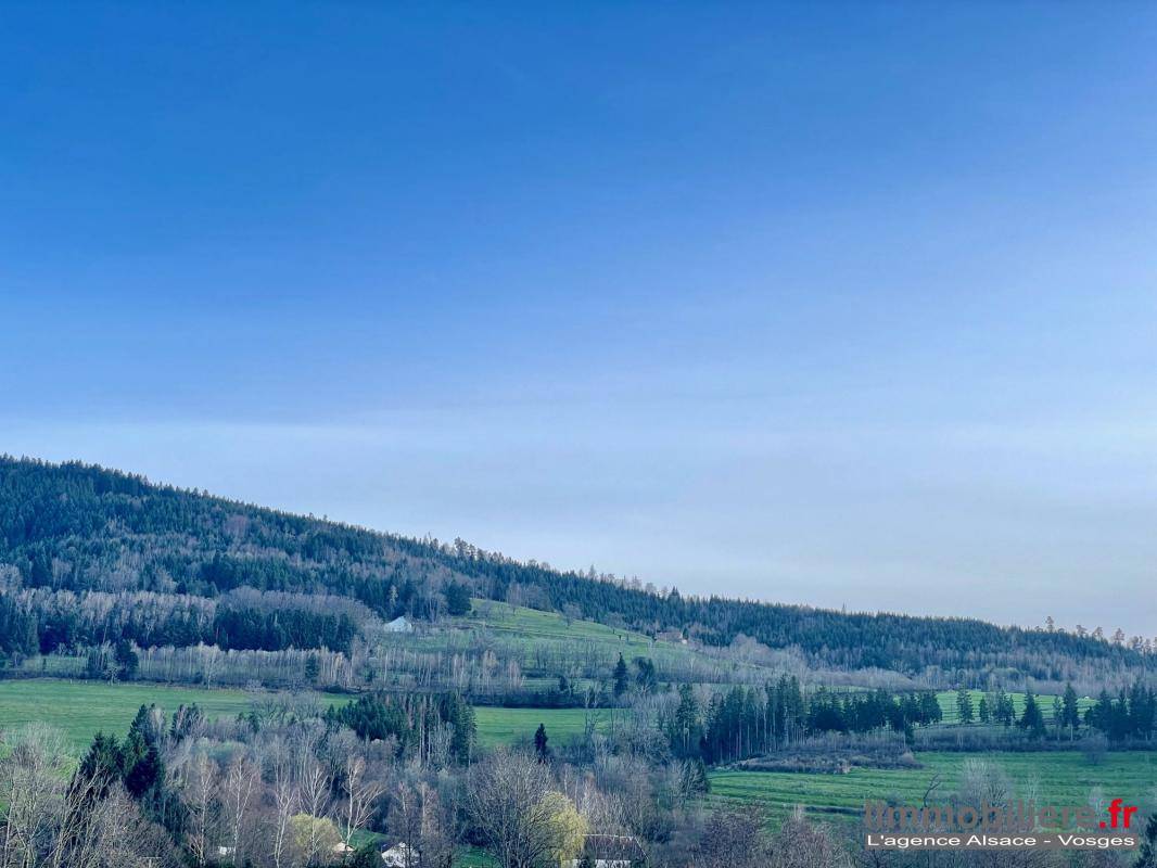 Terrain seul à Wisembach en Vosges (88) de 1200 m² à vendre au prix de 39000€