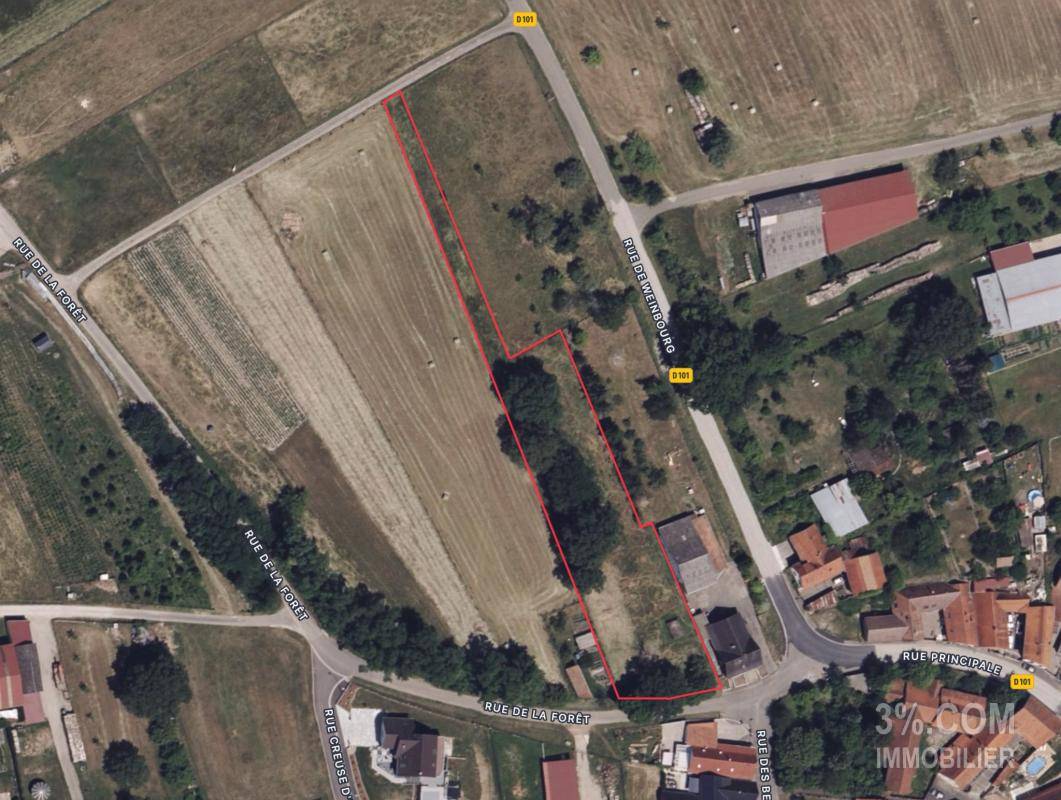 Terrain seul à Ingwiller en Bas-Rhin (67) de 2682 m² à vendre au prix de 126000€ - 4