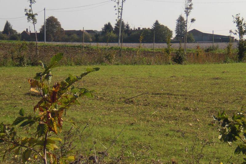 Terrain seul à La Selle-sur-le-Bied en Loiret (45) de 1816 m² à vendre au prix de 34000€ - 4