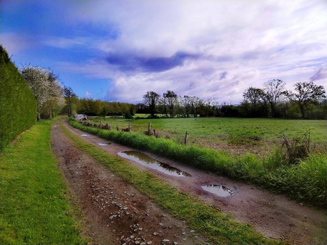 Terrain seul à Chassenon en Charente (16) de 10000 m² à vendre au prix de 86000€ - 2