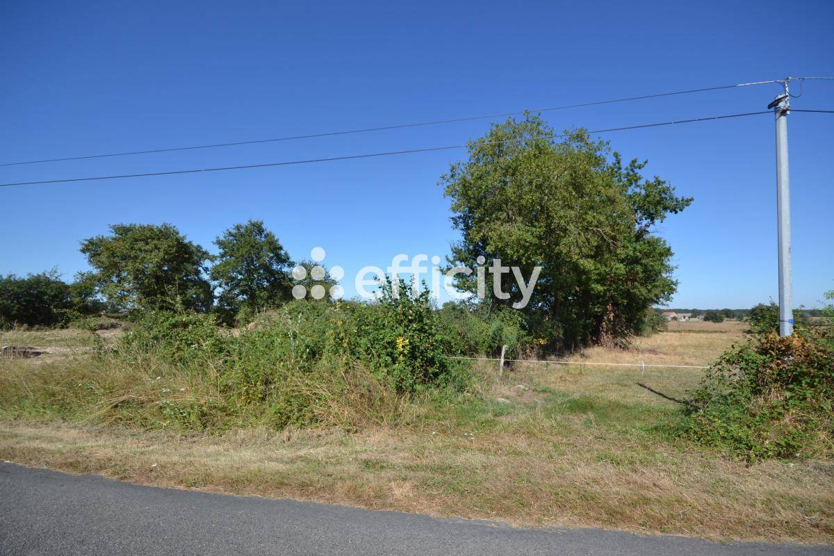 Terrain seul à Charrin en Nièvre (58) de 3387 m² à vendre au prix de 22000€ - 3