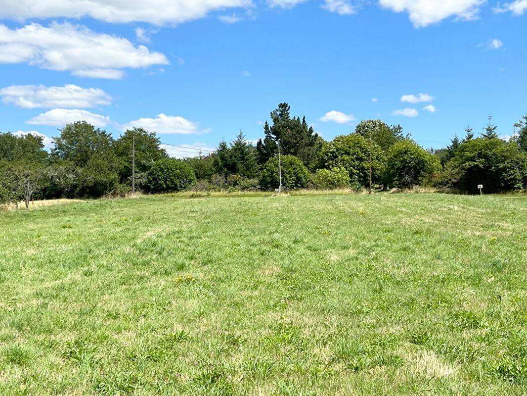 Terrain seul à Thiviers en Dordogne (24) de 2914 m² à vendre au prix de 39000€ - 2