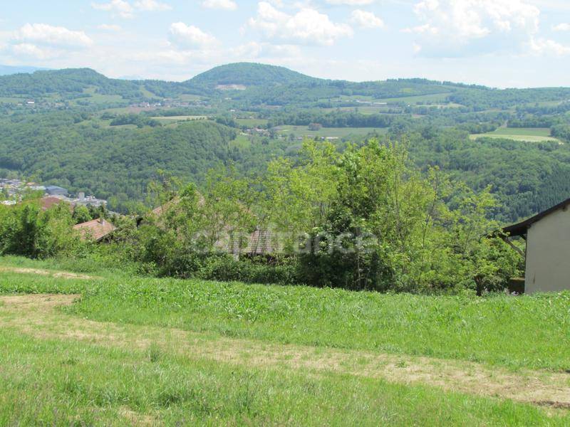 Terrain seul à Frangy en Haute-Savoie (74) de 653 m² à vendre au prix de 197000€ - 4