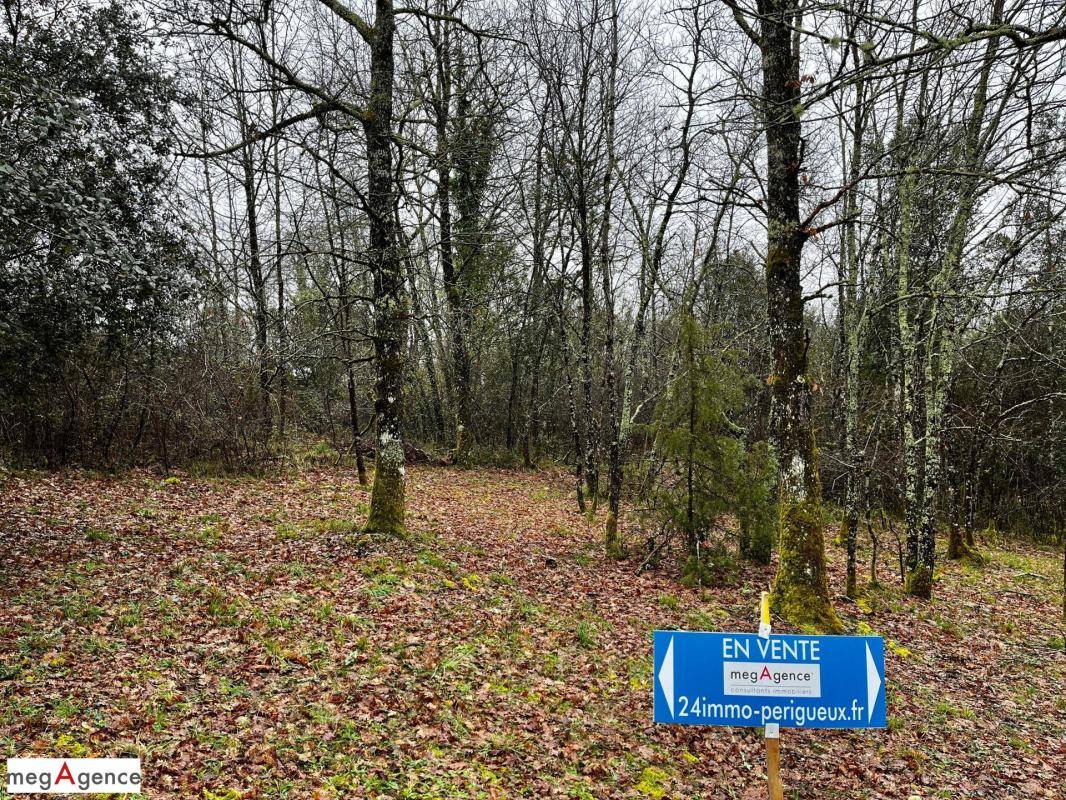 Terrain seul à Baneuil en Dordogne (24) de 2800 m² à vendre au prix de 30000€ - 1