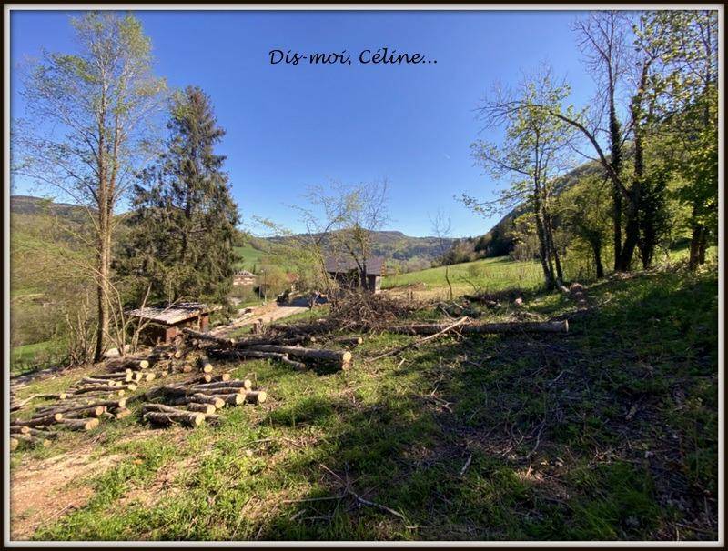 Terrain seul à La Thuile en Savoie (73) de 667 m² à vendre au prix de 79000€ - 2