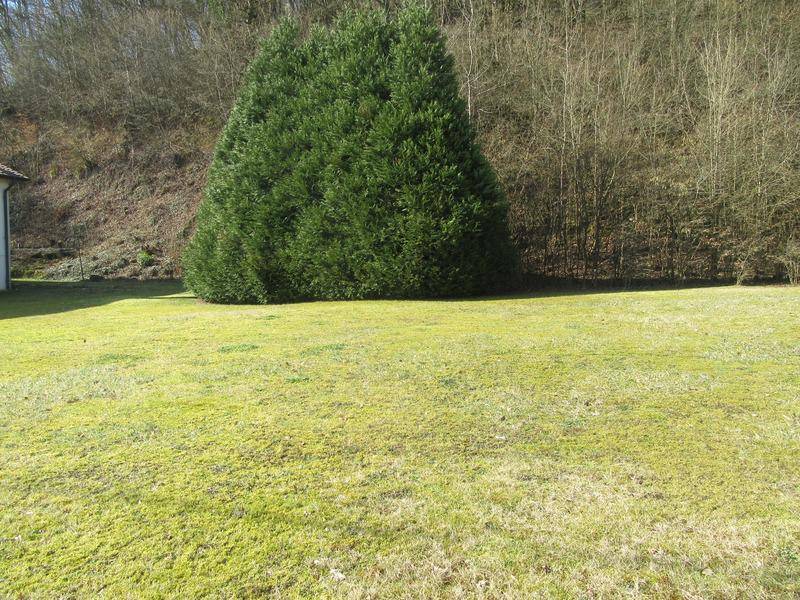 Terrain seul à Jœuf en Meurthe-et-Moselle (54) de 1044 m² à vendre au prix de 75000€ - 1