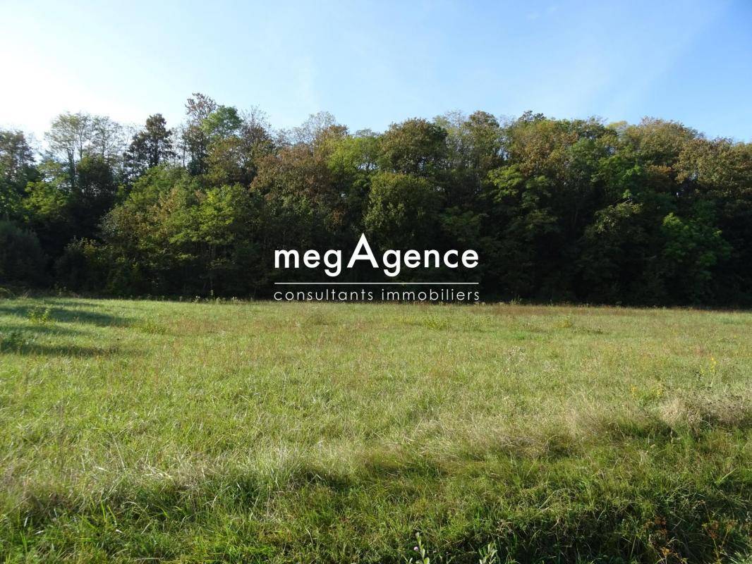 Terrain seul à Ancier en Haute-Saône (70) de 7323 m² à vendre au prix de 55000€ - 1
