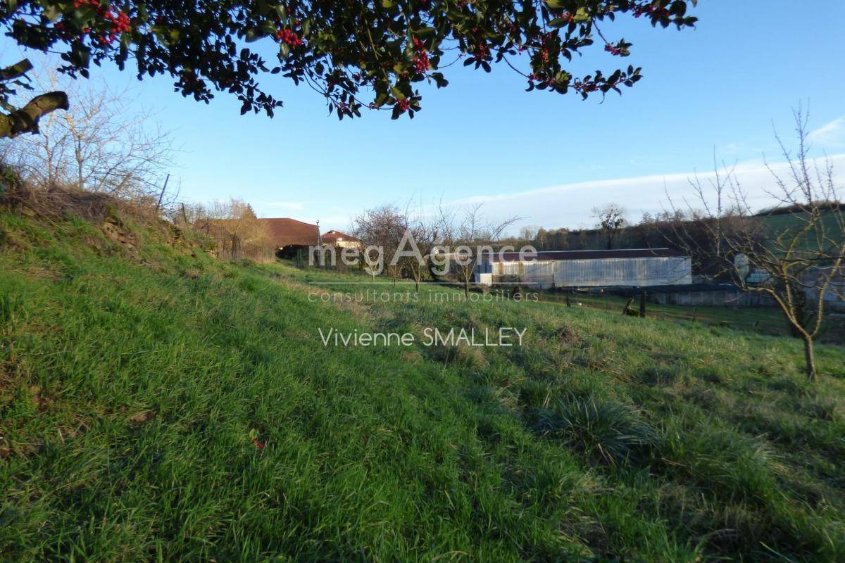 Terrain seul à Vandeléville en Meurthe-et-Moselle (54) de 1950 m² à vendre au prix de 36000€ - 3