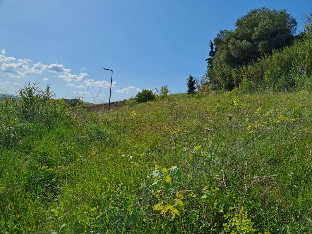 Terrain seul à Limoux en Aude (11) de 740 m² à vendre au prix de 49100€
