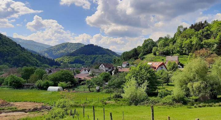 Programme terrain + maison à Willer-sur-Thur en Haut-Rhin (68) de 1200 m² à vendre au prix de 398000€ - 3