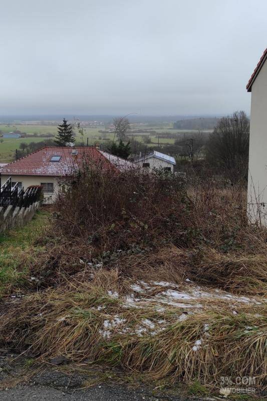 Terrain seul à Bulligny en Meurthe-et-Moselle (54) de 333 m² à vendre au prix de 15000€ - 4