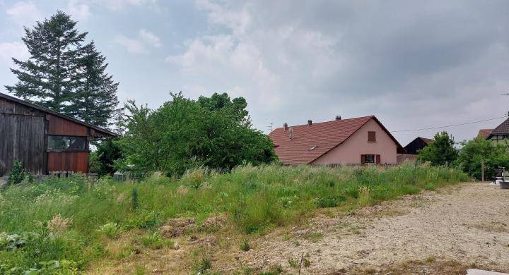 Programme terrain + maison à Galfingue en Haut-Rhin (68) de 442 m² à vendre au prix de 299700€ - 3