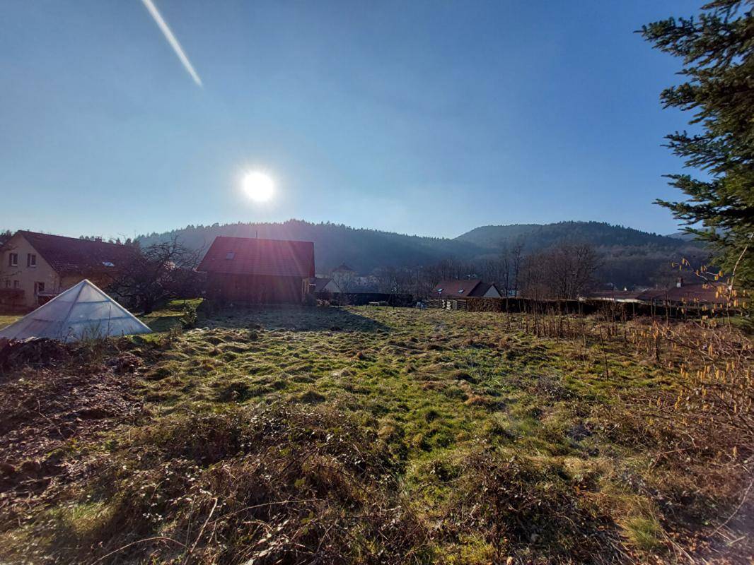Terrain seul à Lepuix en Territoire de Belfort (90) de 630 m² à vendre au prix de 37000€ - 1
