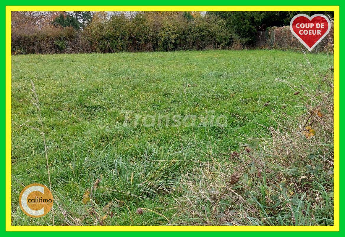 Terrain seul à Malicorne en Allier (03) de 3000 m² à vendre au prix de 35000€ - 2