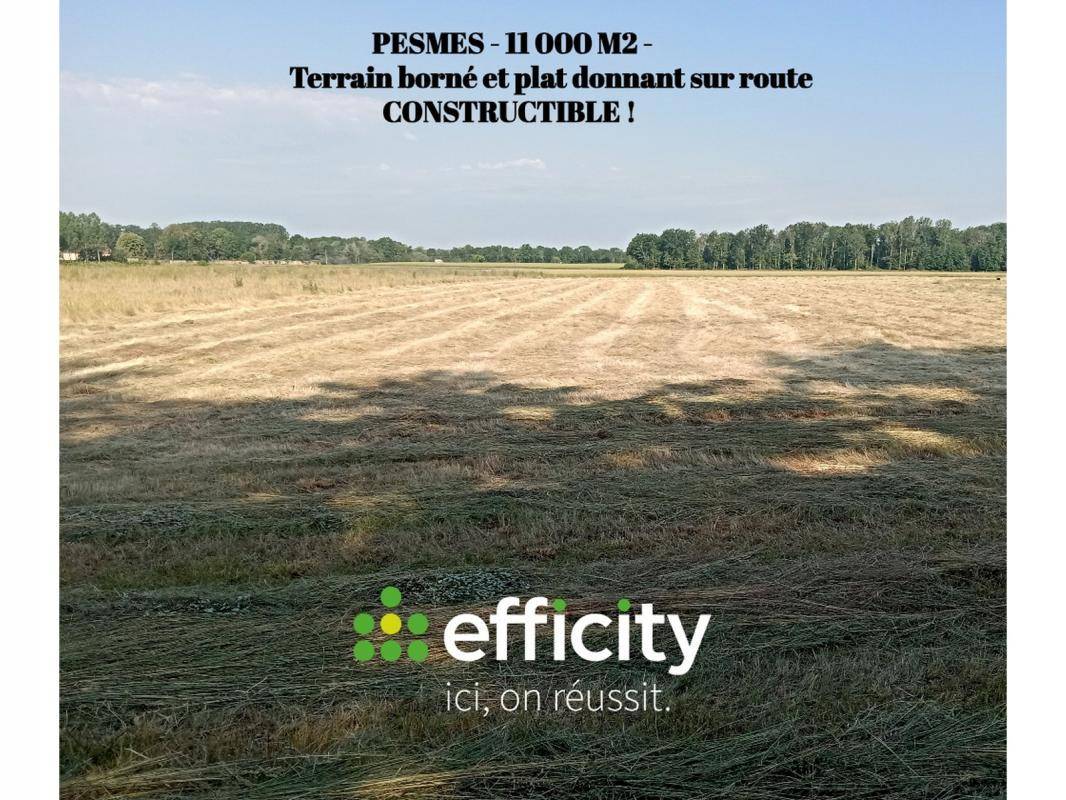 Terrain seul à Pesmes en Haute-Saône (70) de 11000 m² à vendre au prix de 187000€ - 1