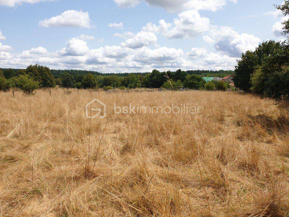 Terrain seul à Saint-Aubin-les-Forges en Nièvre (58) de 2047 m² à vendre au prix de 23000€ - 1