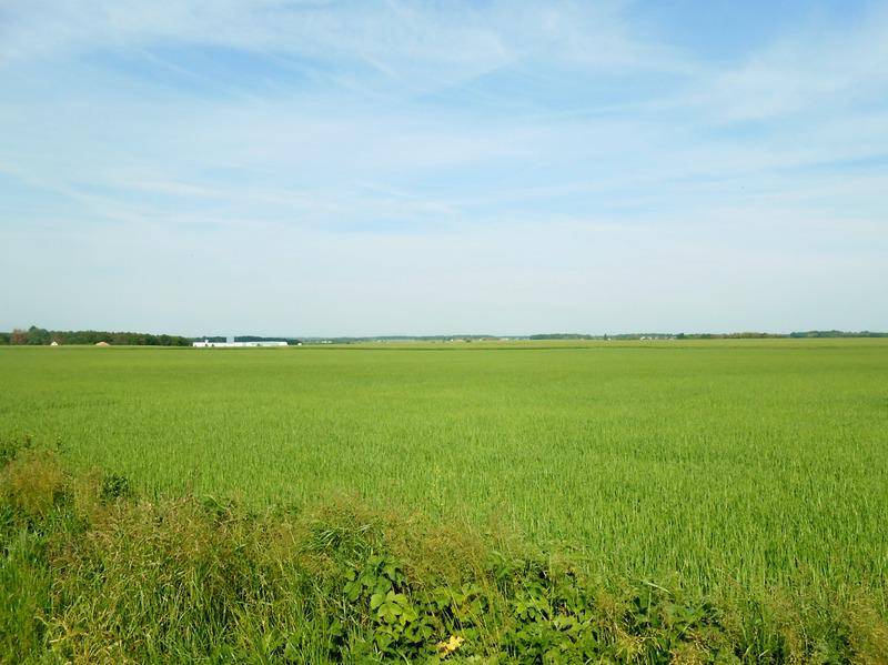 Terrain seul à La Selle-sur-le-Bied en Loiret (45) de 1148 m² à vendre au prix de 29900€ - 3