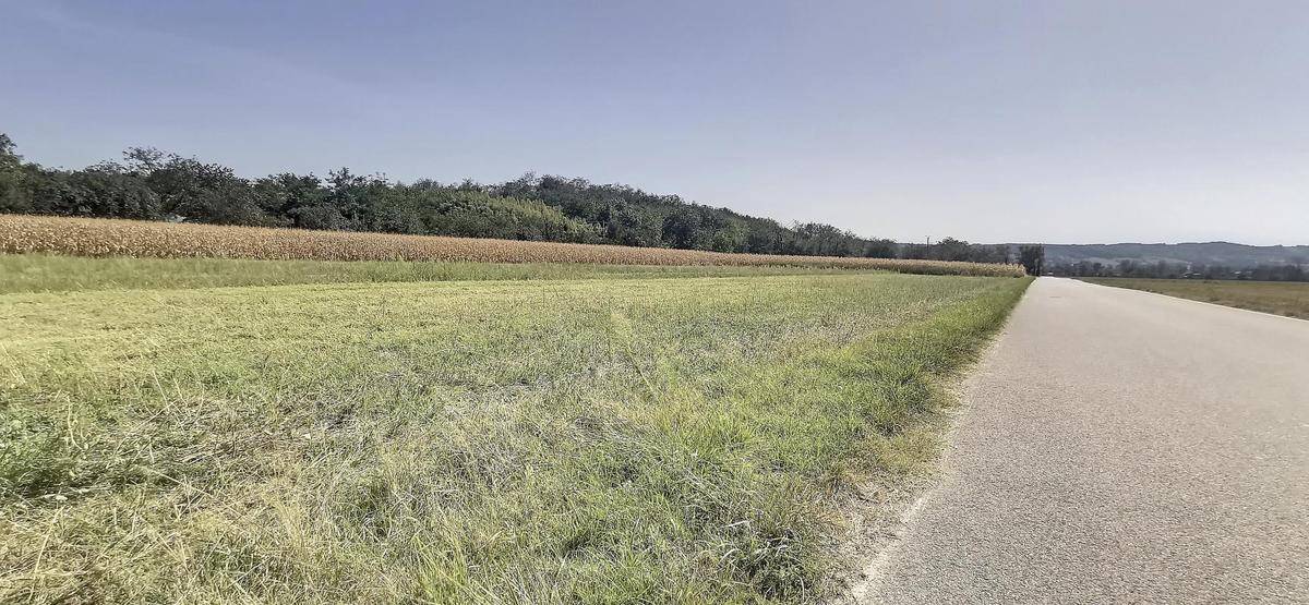 Terrain seul à Chaponnay en Rhône (69) de 605 m² à vendre au prix de 215000€ - 3