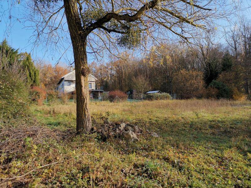 Terrain seul à Rebais en Seine-et-Marne (77) de 1002 m² à vendre au prix de 38900€ - 4