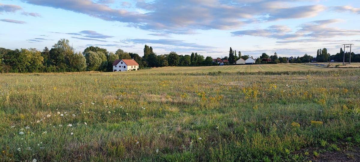 Terrain seul à Varennes-lès-Narcy en Nièvre (58) de 734 m² à vendre au prix de 21000€ - 1
