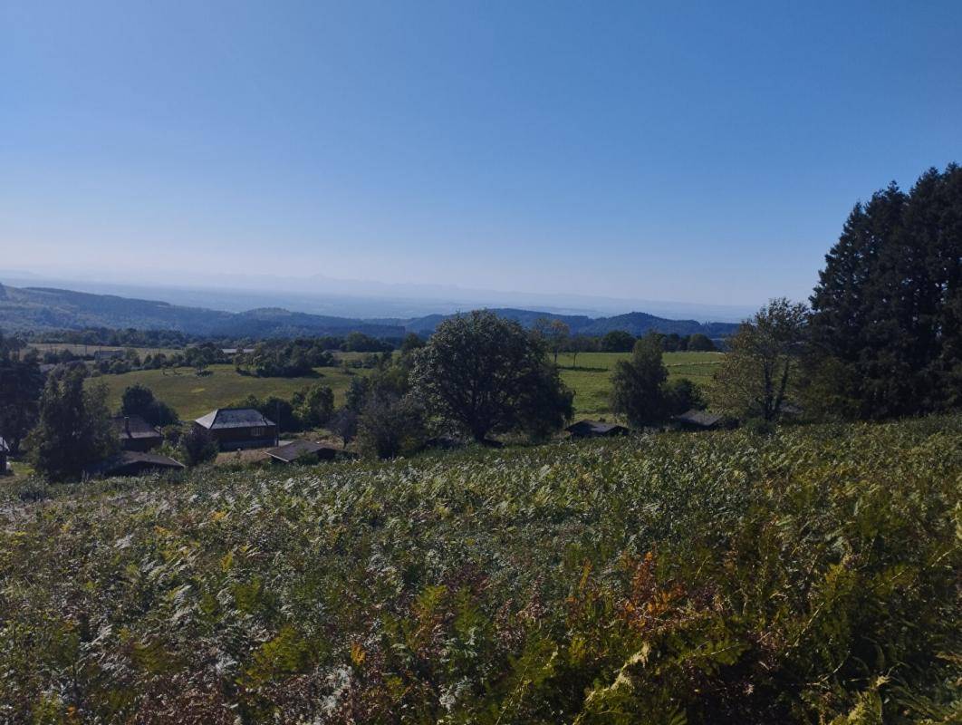 Terrain seul à Lachaux en Puy-de-Dôme (63) de 3850 m² à vendre au prix de 49990€ - 1