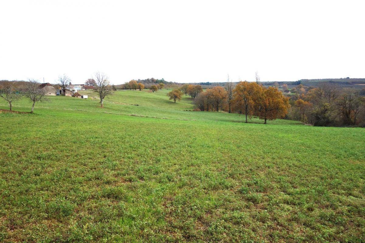 Terrain seul à Nailhac en Dordogne (24) de 13556 m² à vendre au prix de 44000€ - 4