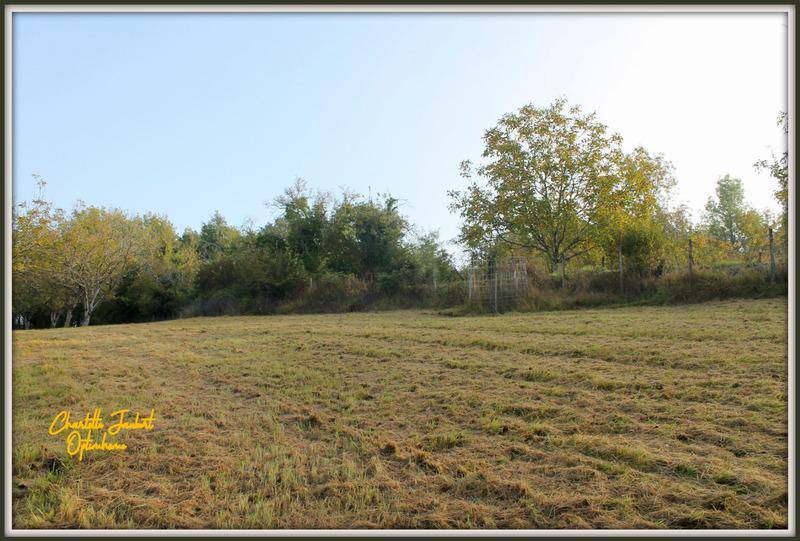 Terrain seul à Chalais en Charente (16) de 5090 m² à vendre au prix de 44000€ - 3