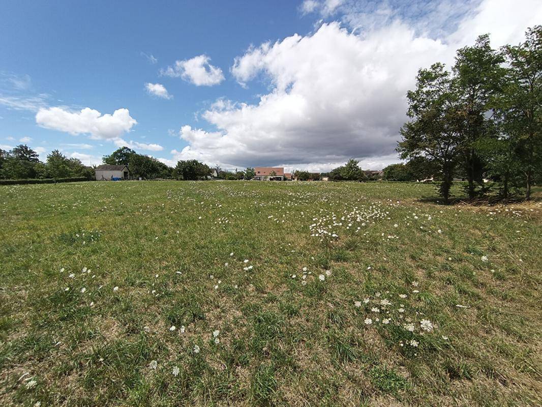 Terrain seul à Saint-Parize-le-Châtel en Nièvre (58) de 3500 m² à vendre au prix de 29000€ - 2