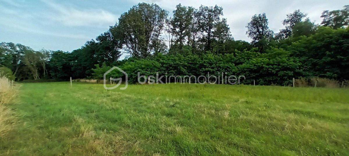 Terrain seul à Villeneuve-sur-Yonne en Yonne (89) de 1501 m² à vendre au prix de 30000€ - 3
