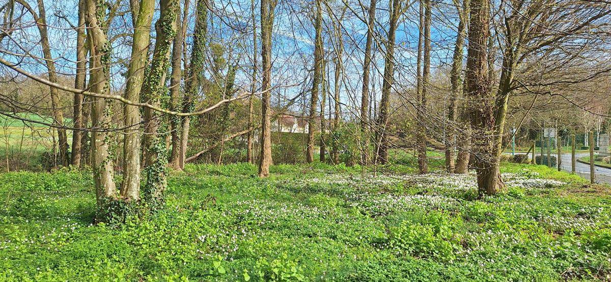 Terrain seul à La Ferté-Milon en Aisne (02) de 1220 m² à vendre au prix de 55000€