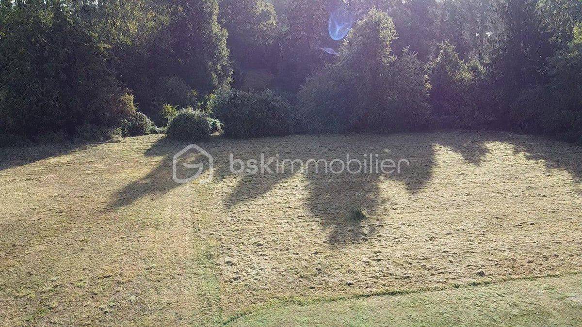 Terrain seul à Noyers en Loiret (45) de 4612 m² à vendre au prix de 43000€ - 3