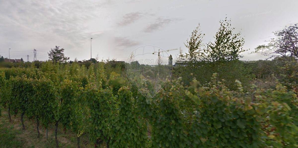 Terrain seul à Wintzenheim en Haut-Rhin (68) de 2500 m² à vendre au prix de 385000€ - 3