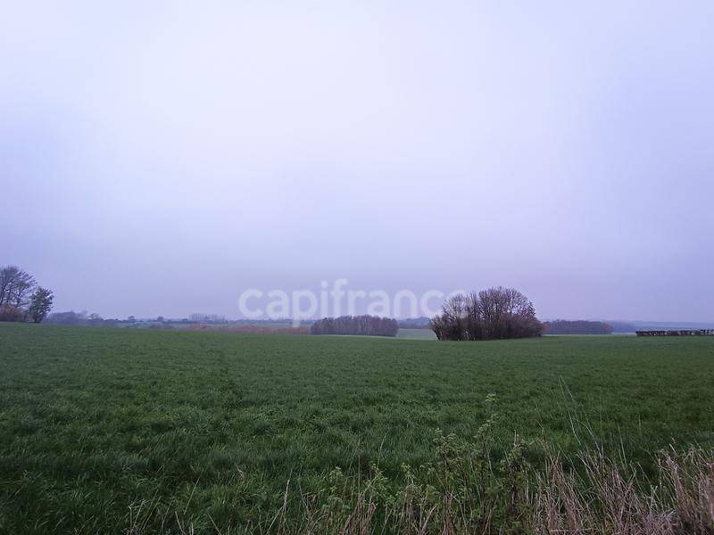 Terrain seul à Dohem en Pas-de-Calais (62) de 4468 m² à vendre au prix de 222000€ - 1