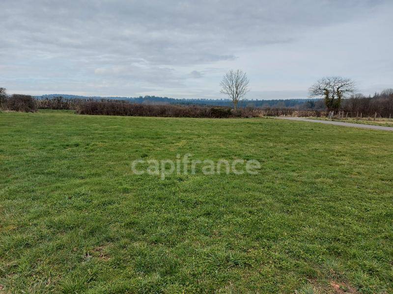 Terrain seul à Montlay-en-Auxois en Côte-d'Or (21) de 1088 m² à vendre au prix de 22500€ - 4