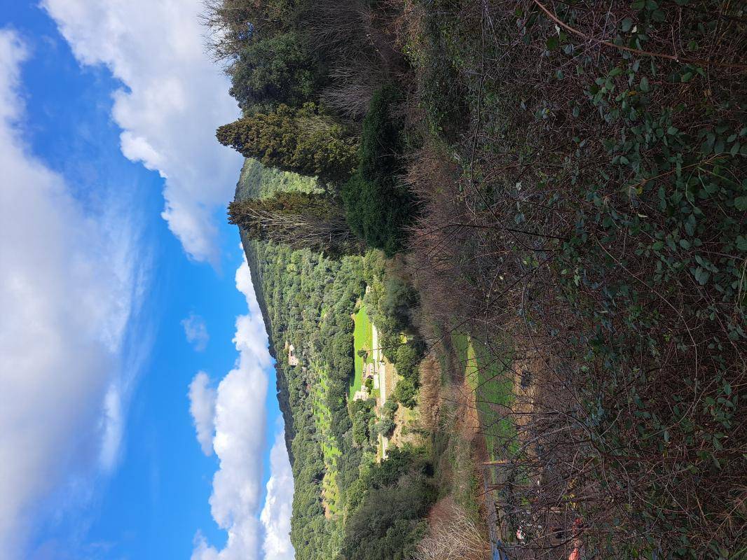 Terrain seul à Sartène en Corse-du-Sud (2A) de 9800 m² à vendre au prix de 49000€