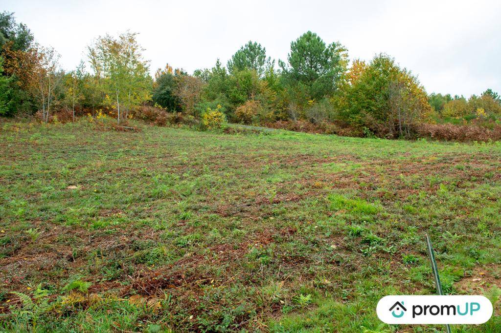 Terrain seul à Sarlat-la-Canéda en Dordogne (24) de 3310 m² à vendre au prix de 45000€ - 1