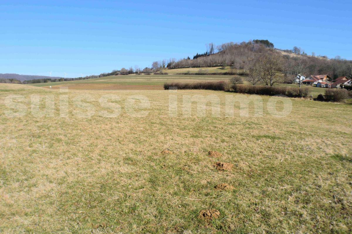 Terrain seul à Sancey en Doubs (25) de 4800 m² à vendre au prix de 99000€