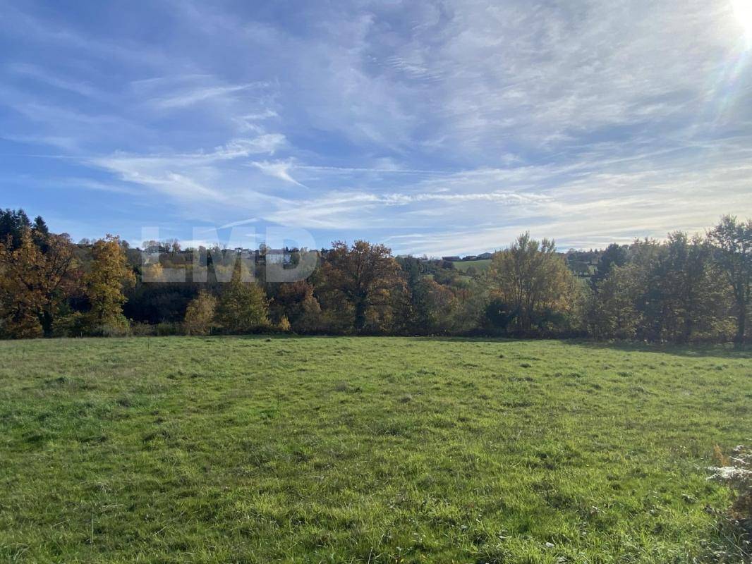 Terrain seul à Rieupeyroux en Aveyron (12) de 9842 m² à vendre au prix de 106500€ - 2