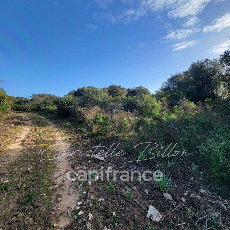 Terrain seul à Bonifacio en Corse-du-Sud (2A) de 10000 m² à vendre au prix de 995000€