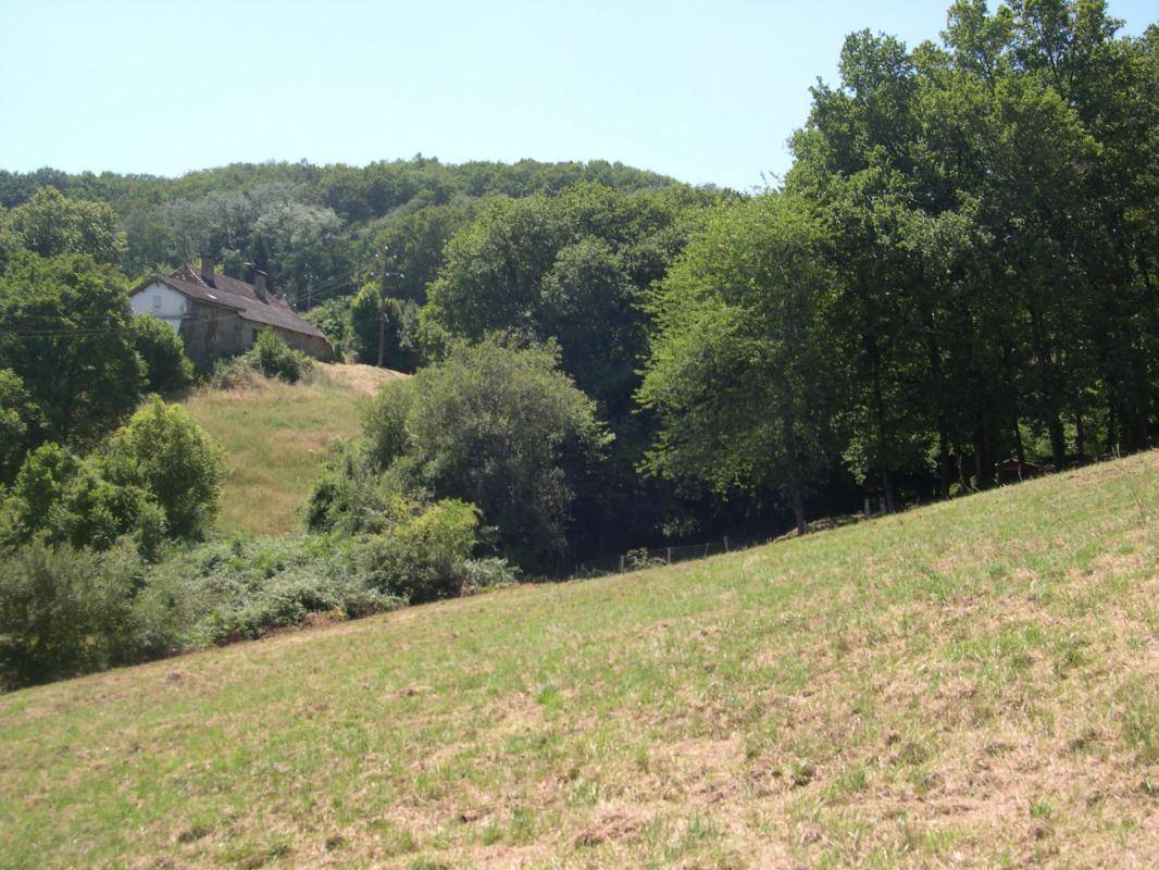 Terrain seul à Maubourguet en Hautes-Pyrénées (65) de 7503 m² à vendre au prix de 39000€ - 2
