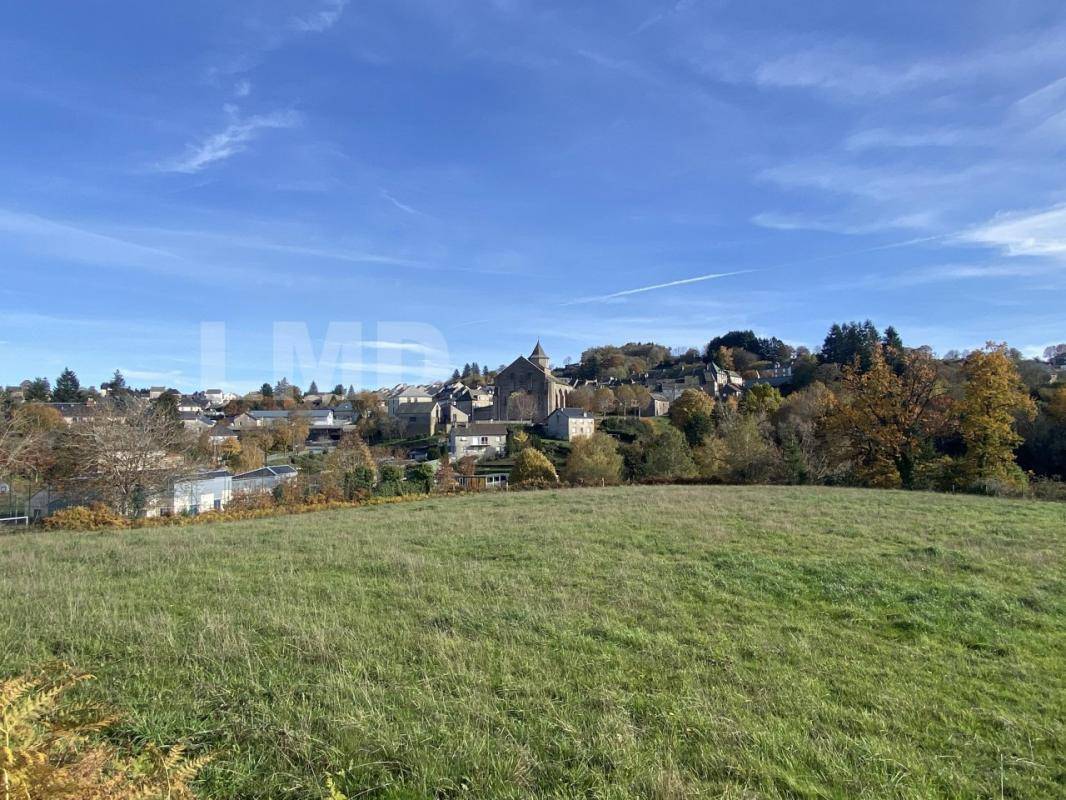 Terrain seul à Rieupeyroux en Aveyron (12) de 9842 m² à vendre au prix de 106500€ - 1