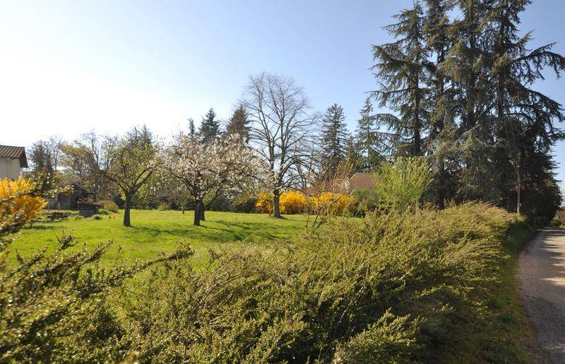 Terrain seul à Beaufort en Isère (38) de 1000 m² à vendre au prix de 74500€ - 2